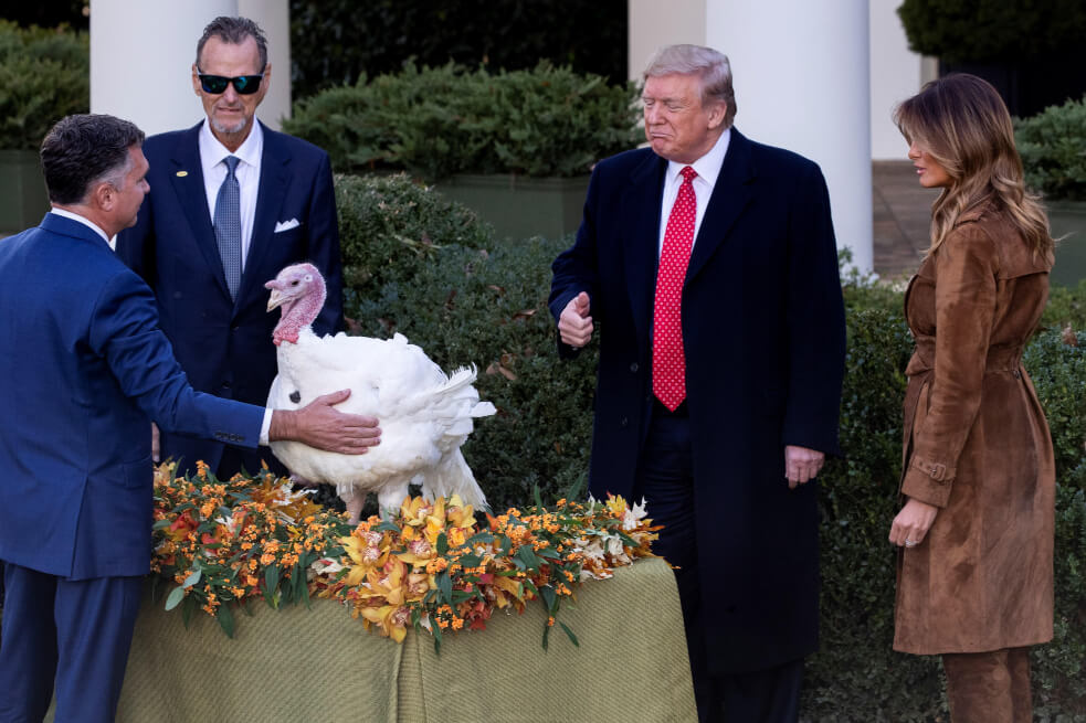 Trump perdona a los pavos Bread y Butter pero no a la prensa
