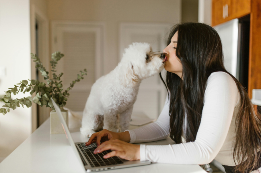 Test para saber si tu perro te quiere: 10 señales infalibles