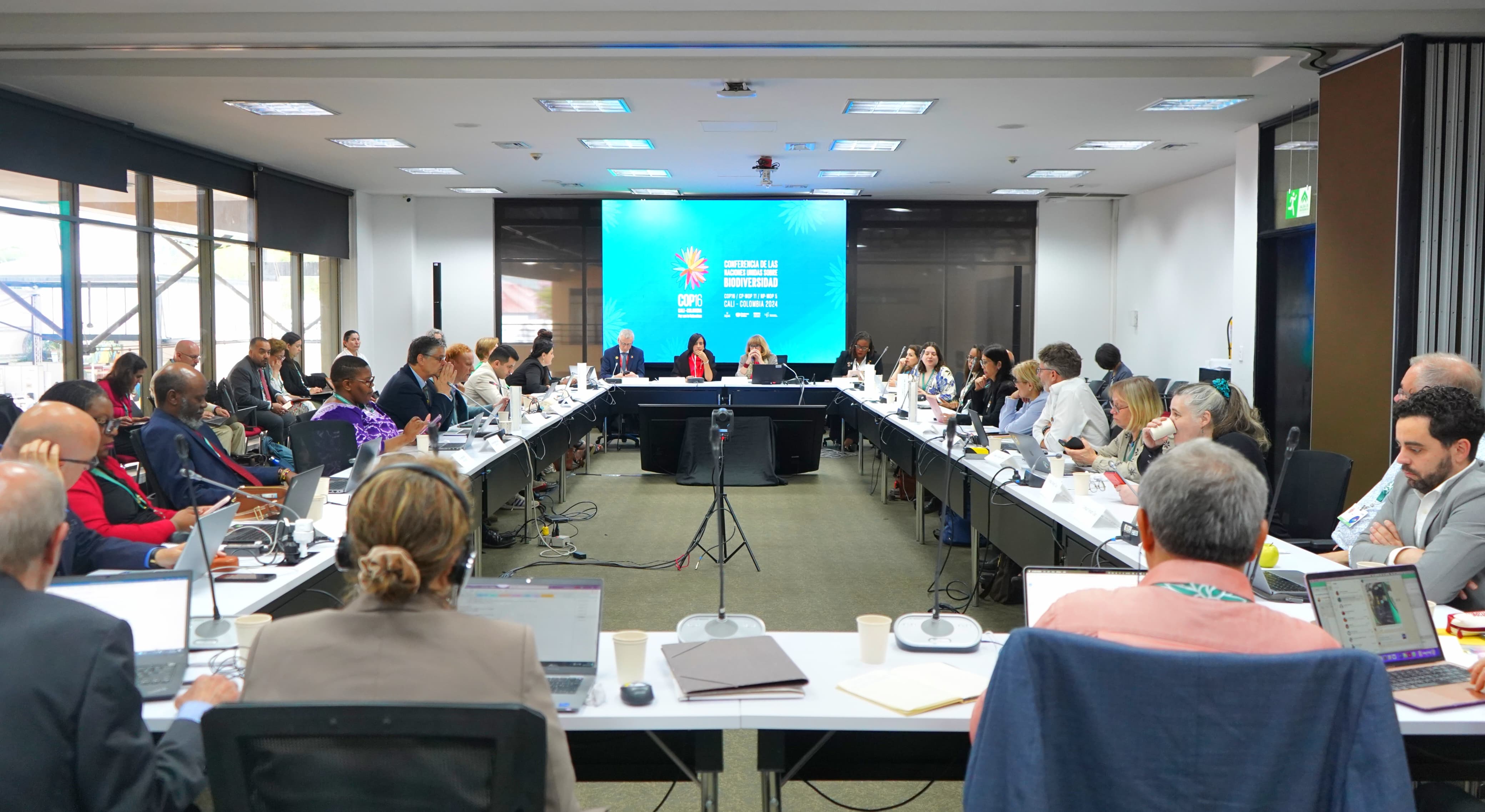 Útimos días de la COP16: estos son los puntos claves de lo que pasó hoy