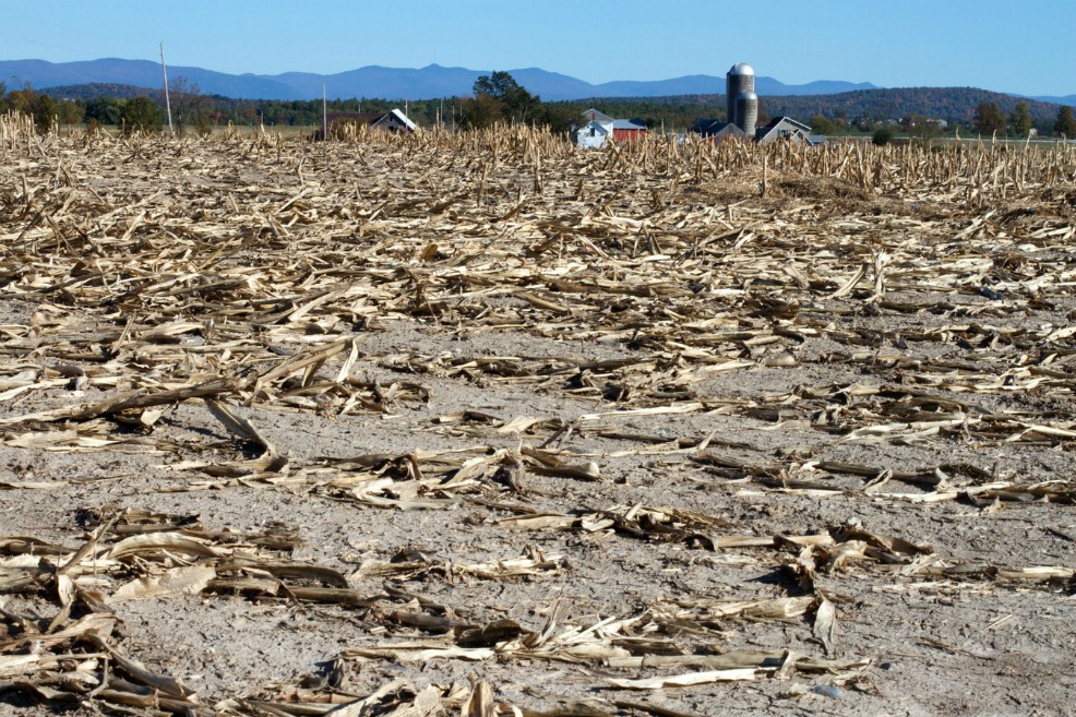 “El cambio climático multiplica los conflictos y amenaza la seguridad del mundo”: ONU