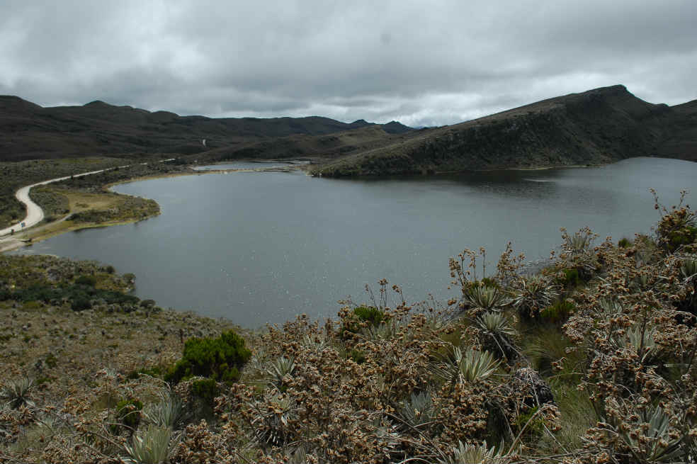 Páramos del país, en el limbo