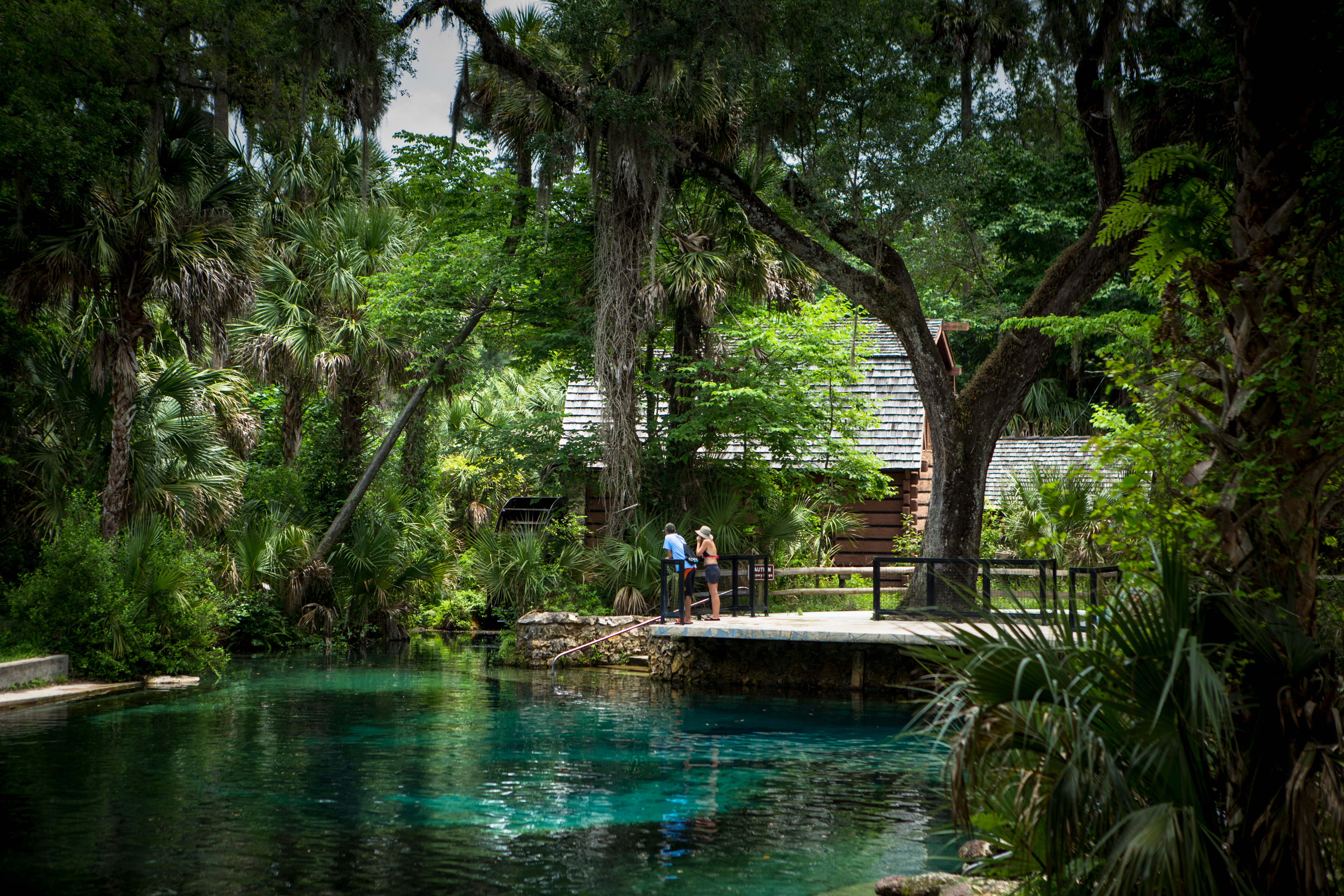 Juniper Springs.
