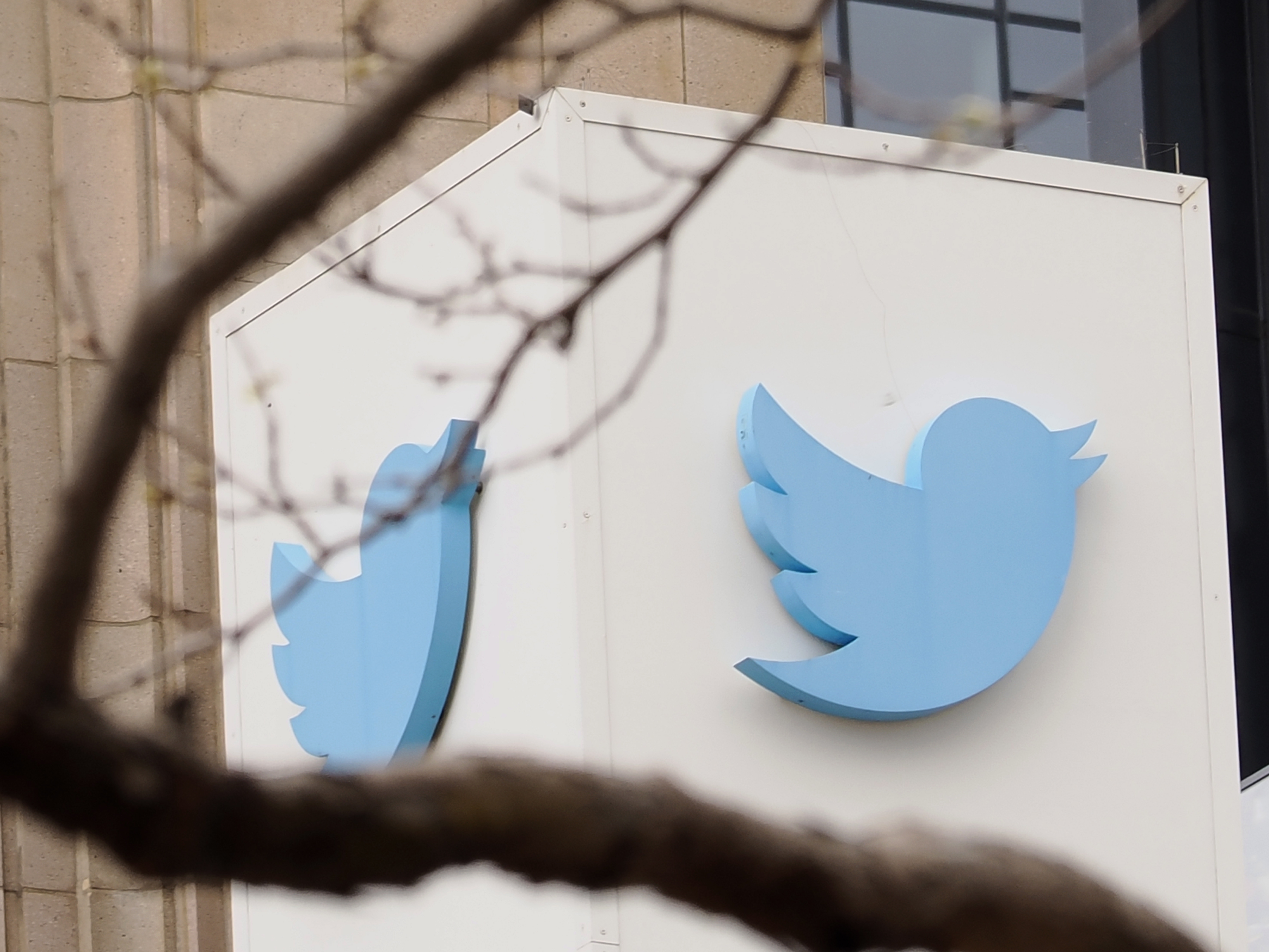 Elon Musk elimina de Twitter políticas de protección para personas trans