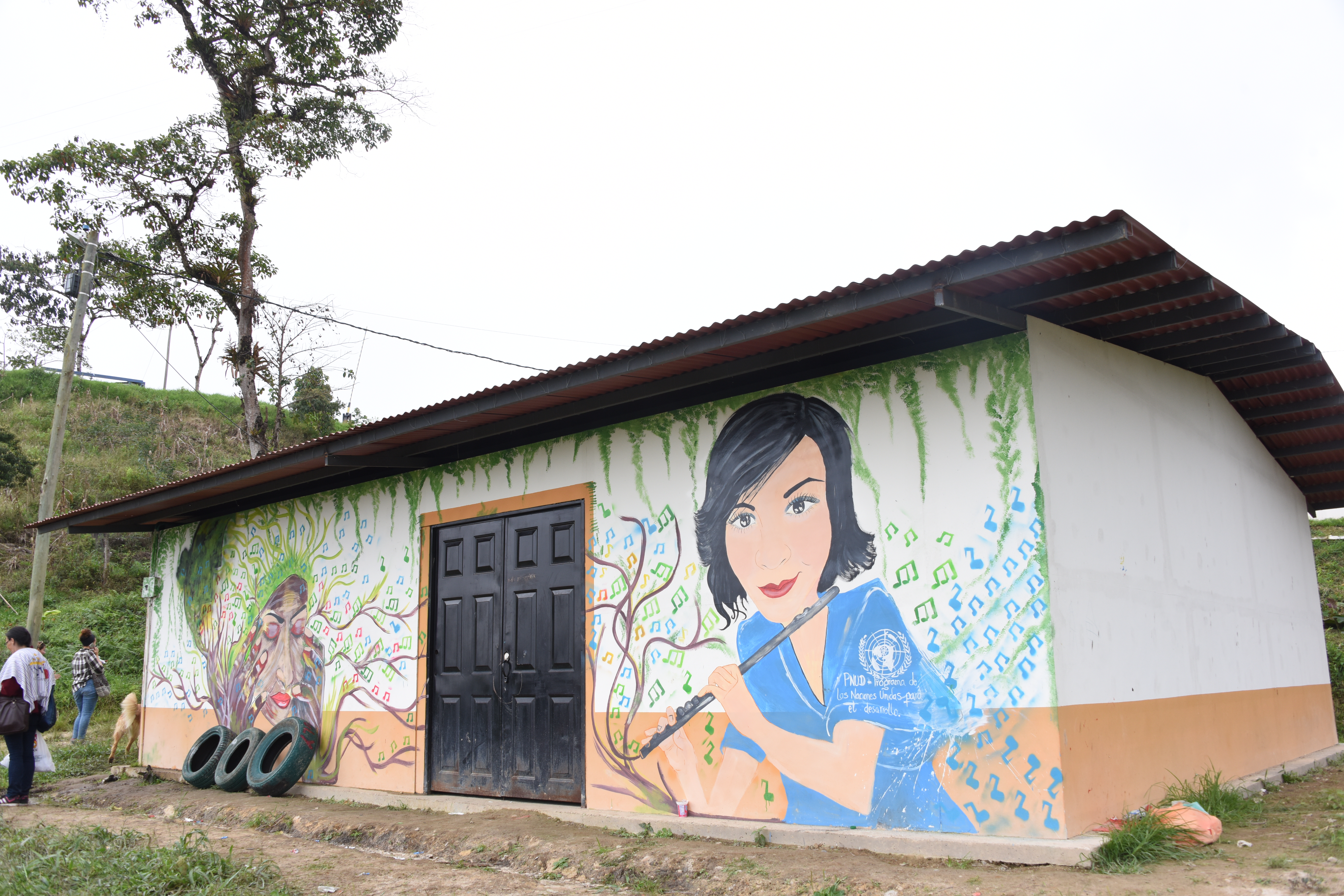 La escuela musical Semillas de Reconciliación fue construida por los excombatientes de las Farc, con ayuda del Programa de Naciones Unidas para el Desarrollo (PNUD), la Misión de Verificación de las Naciones Unidas y la Embajada de Noruega en Colombia.