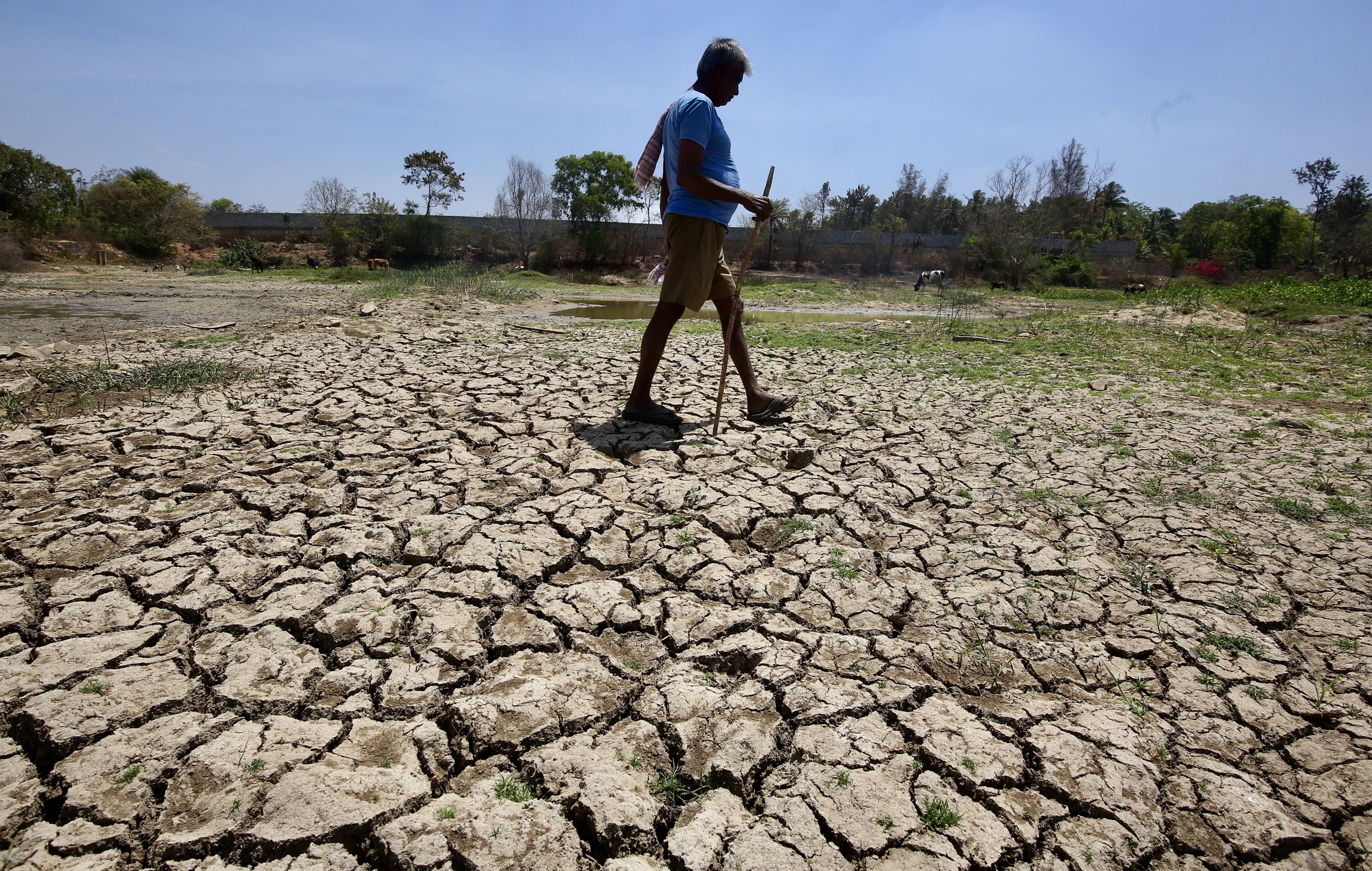 En 2023, la sequía extrema afectó el 48% de la superficie terrestre.