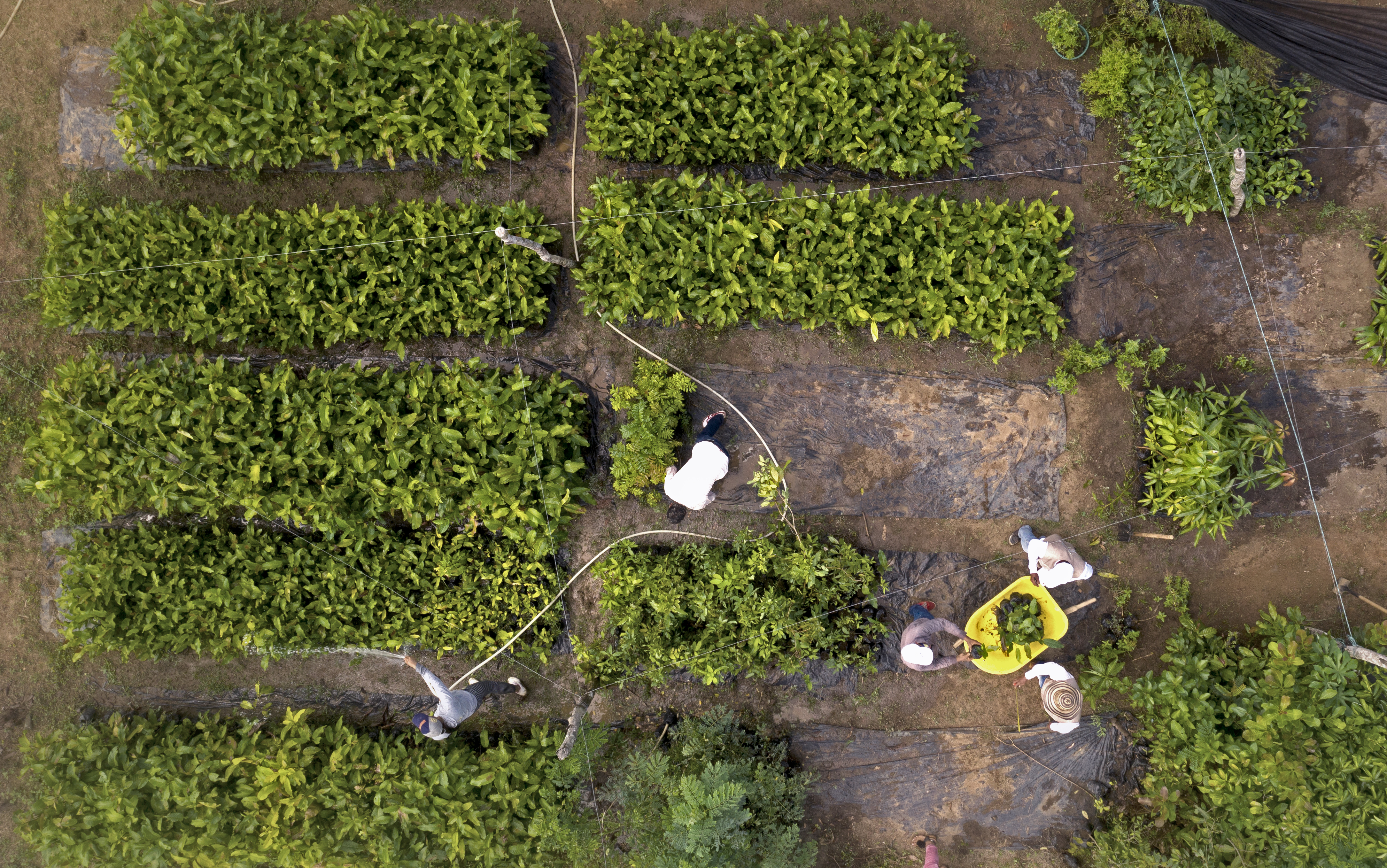 Los campesinos que resisten al cambio climático en el caribe colombiano