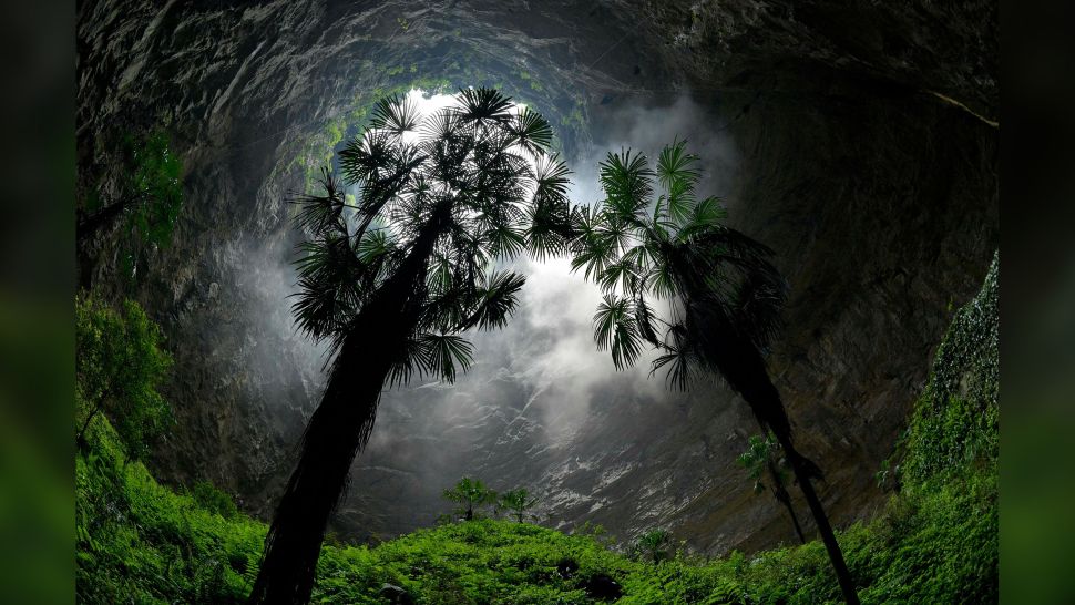El “hueco” que descubrieron en China y que podría esconder especies no conocidas