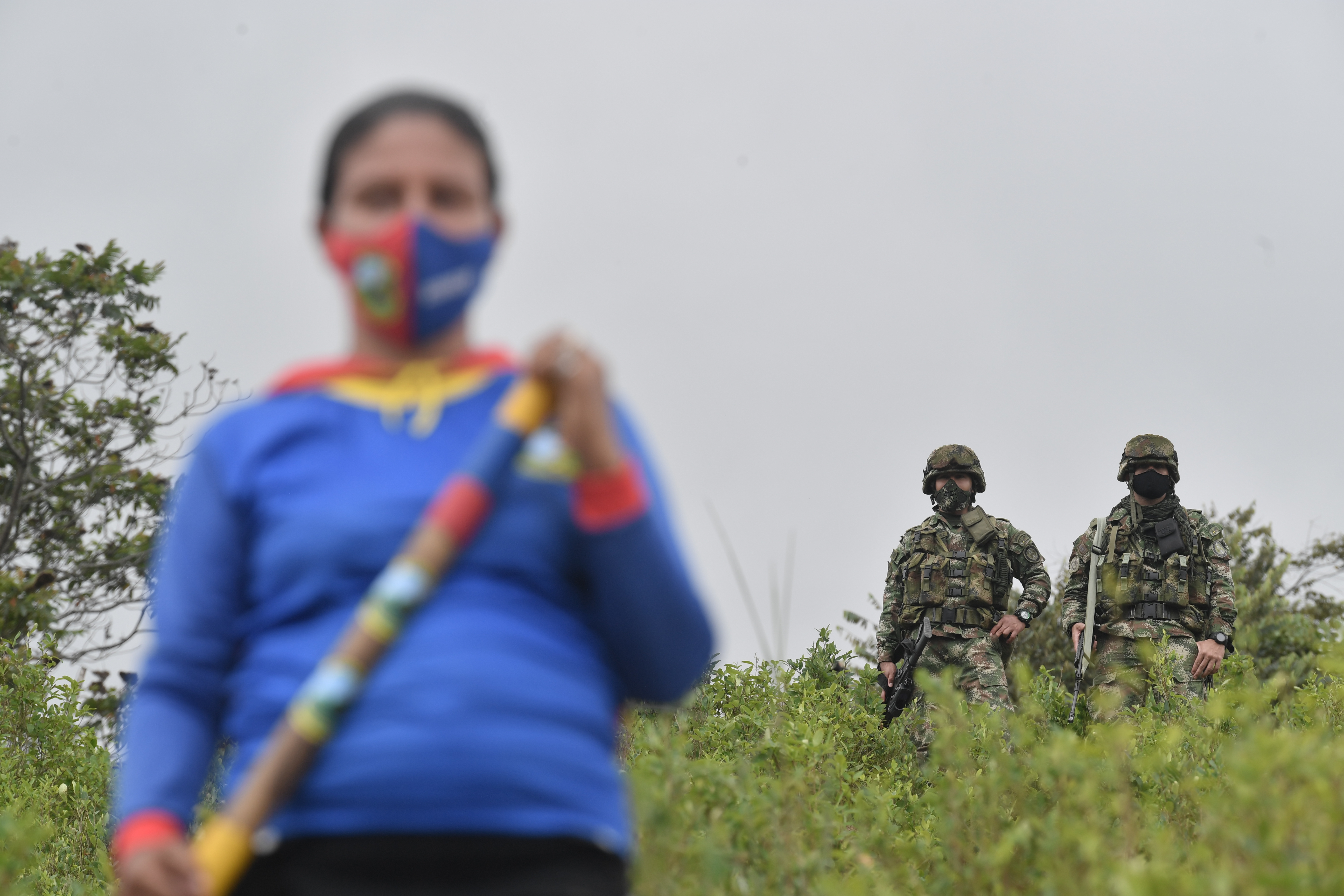 Las víctimas de la erradicación forzada de cultivos de coca