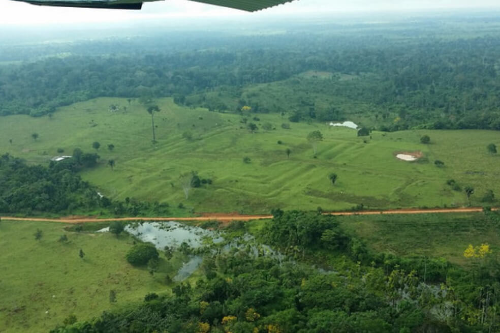 El cambio climático impactó en la Amazonia antes de la llegada de los europeos