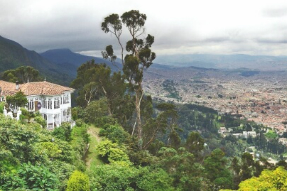 ¿Se le debe dar vuelo al Sendero de las Mariposas en los Cerros Orientales de Bogotá?