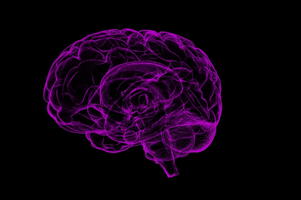 Diseñan un sistema que convierte los pensamientos en habla