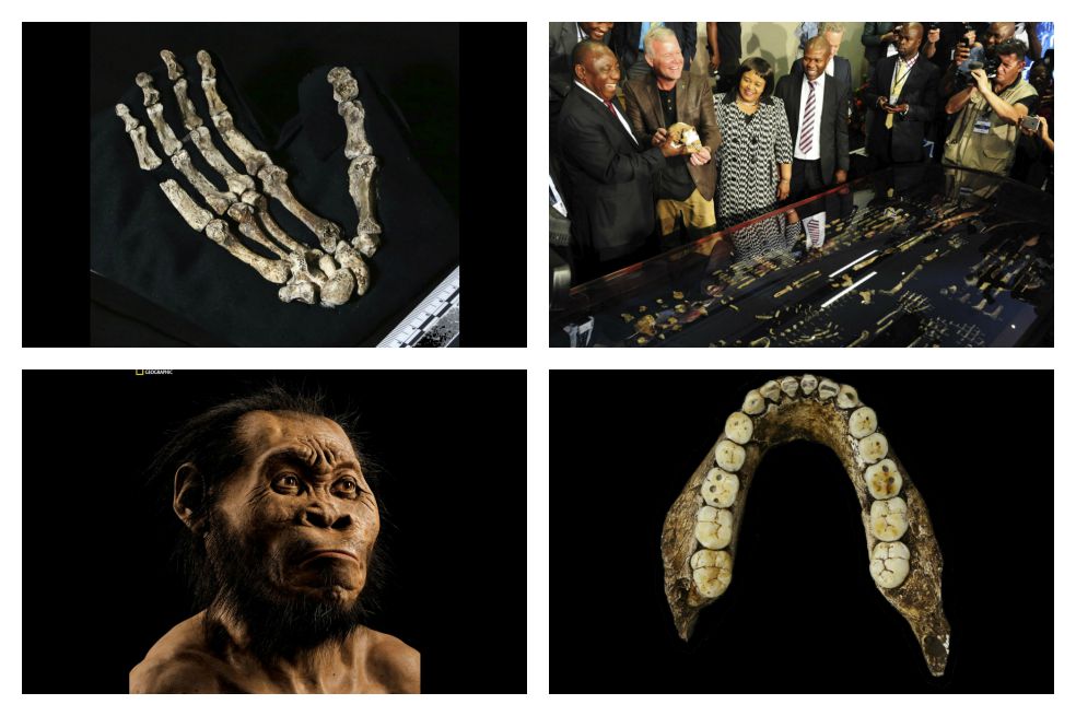 Así es Homo Naledi, el primo lejano del hombre