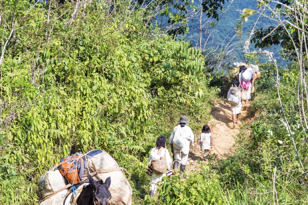 Autoridades activaron plan para garantizar retorno de indígenas wiwa en La Guajira