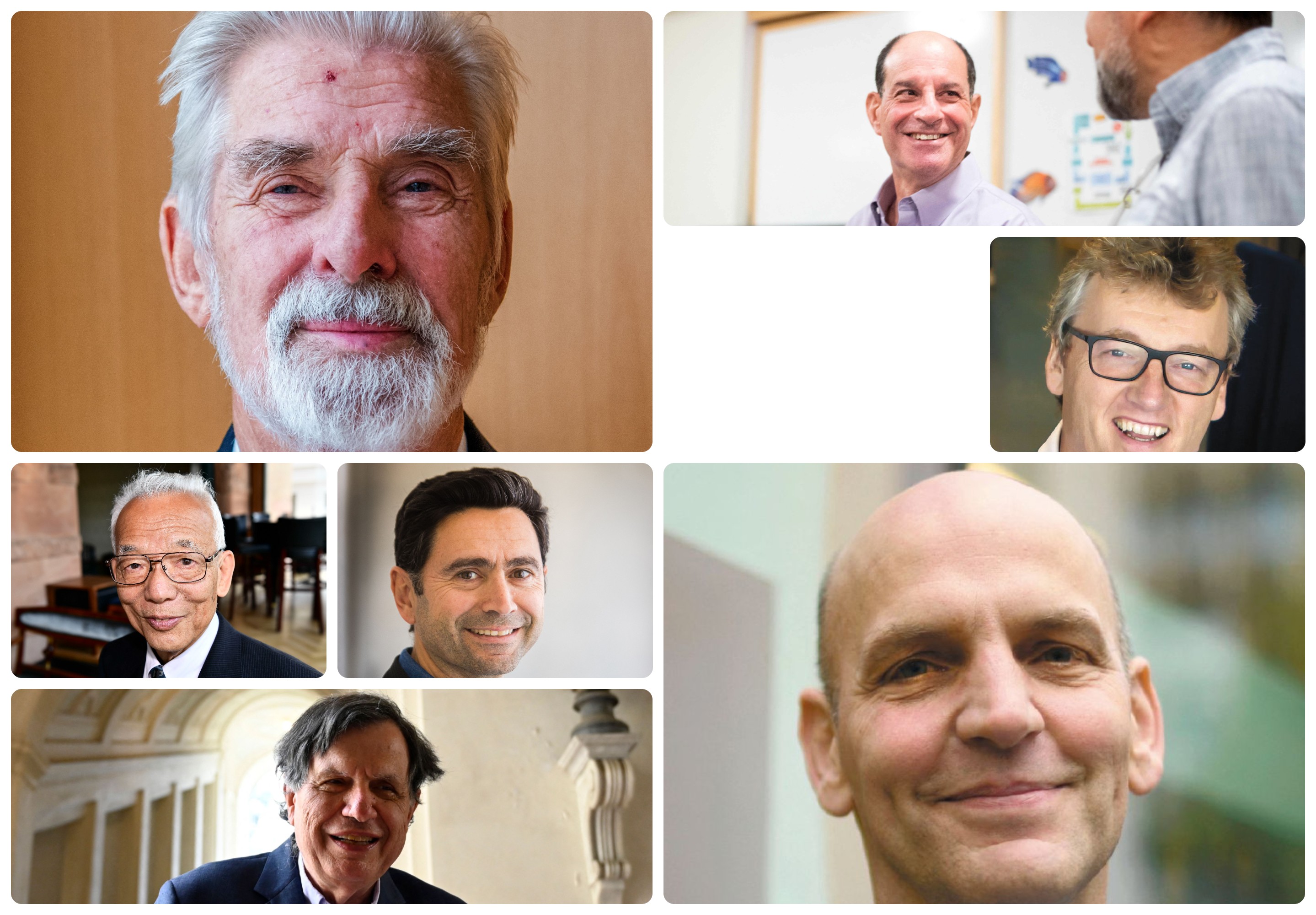 Otro año sin mujeres galardonadas en los Nobel de Física, Química y Medicina
