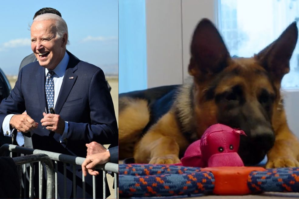 Commander, el perro de Joe Biden que se volvió un problema para el Servicio Secreto