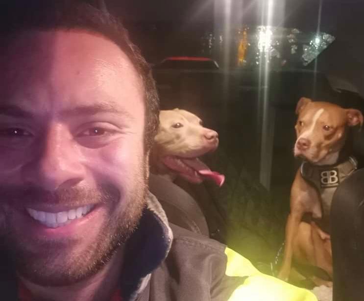 Hombre realojó perros XL Bully antes de que entrara en vigor su prohibición en Inglaterra