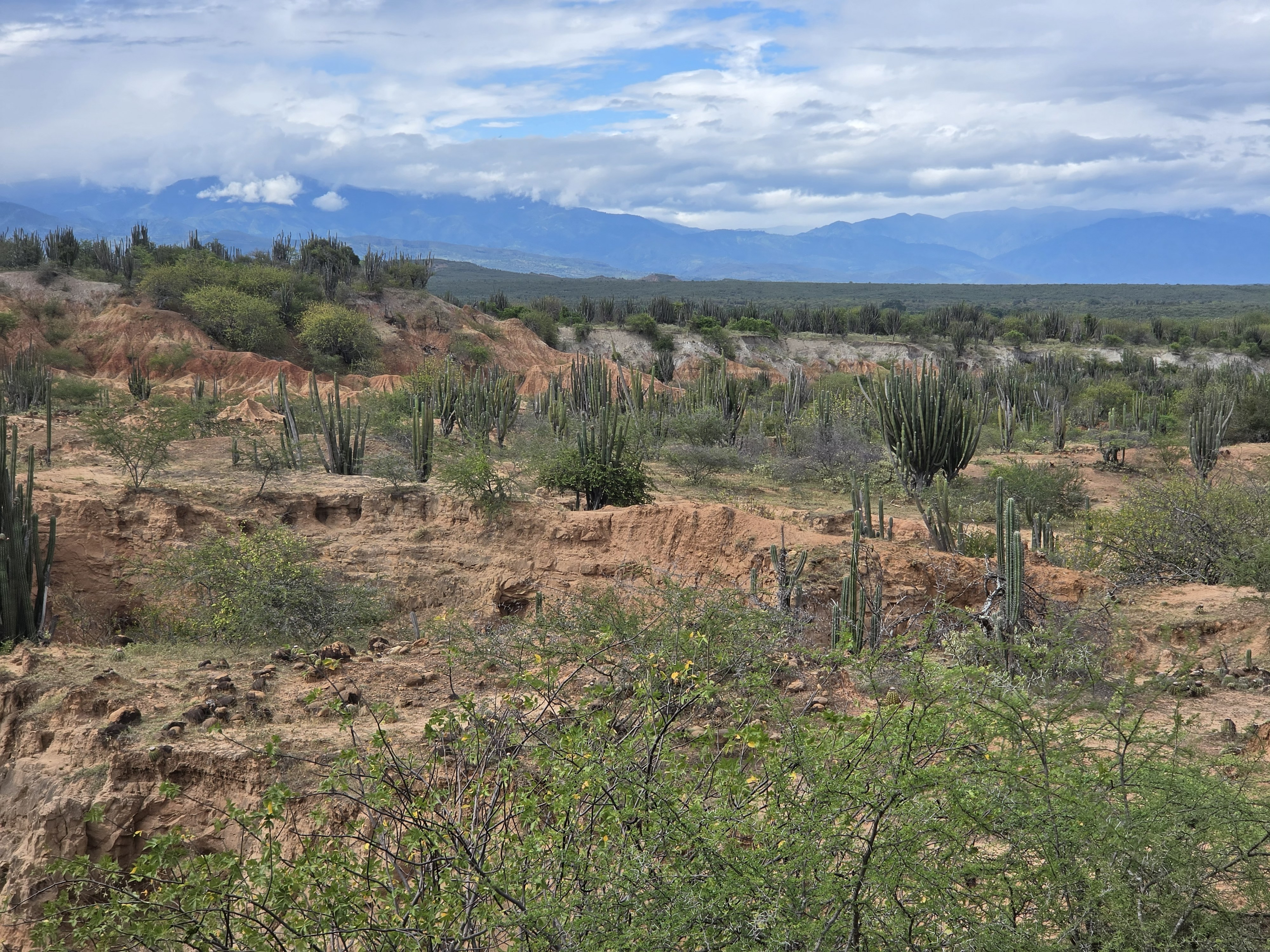 Precisamente por esa riqueza paleontológica, La Venta fue declarada en 2024 como uno de los 100 Sitios de Patrimonio Geológico del Mundo por la Unión Internacional de Ciencias Geológicas (IUGS), organismo asesor de la Unesco. El reconocimiento destaca la importancia científica del lugar y lo ubica junto a otros sitios geológicos de relevancia internacional.