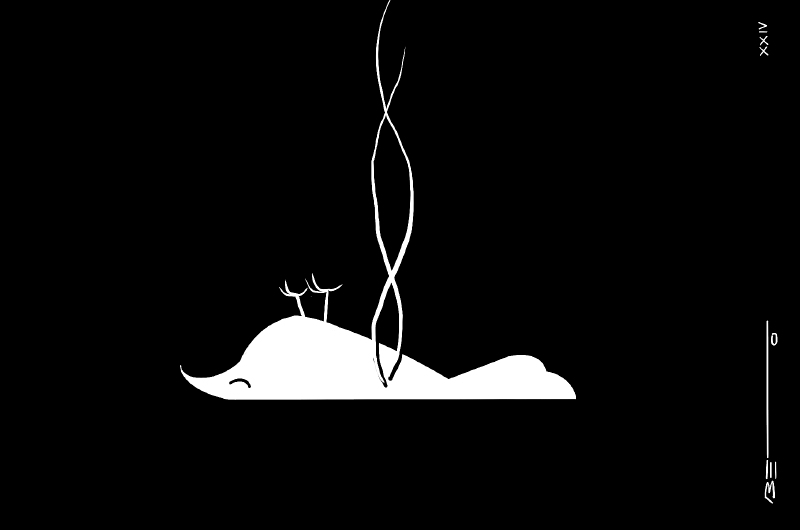 Fauna silvestre