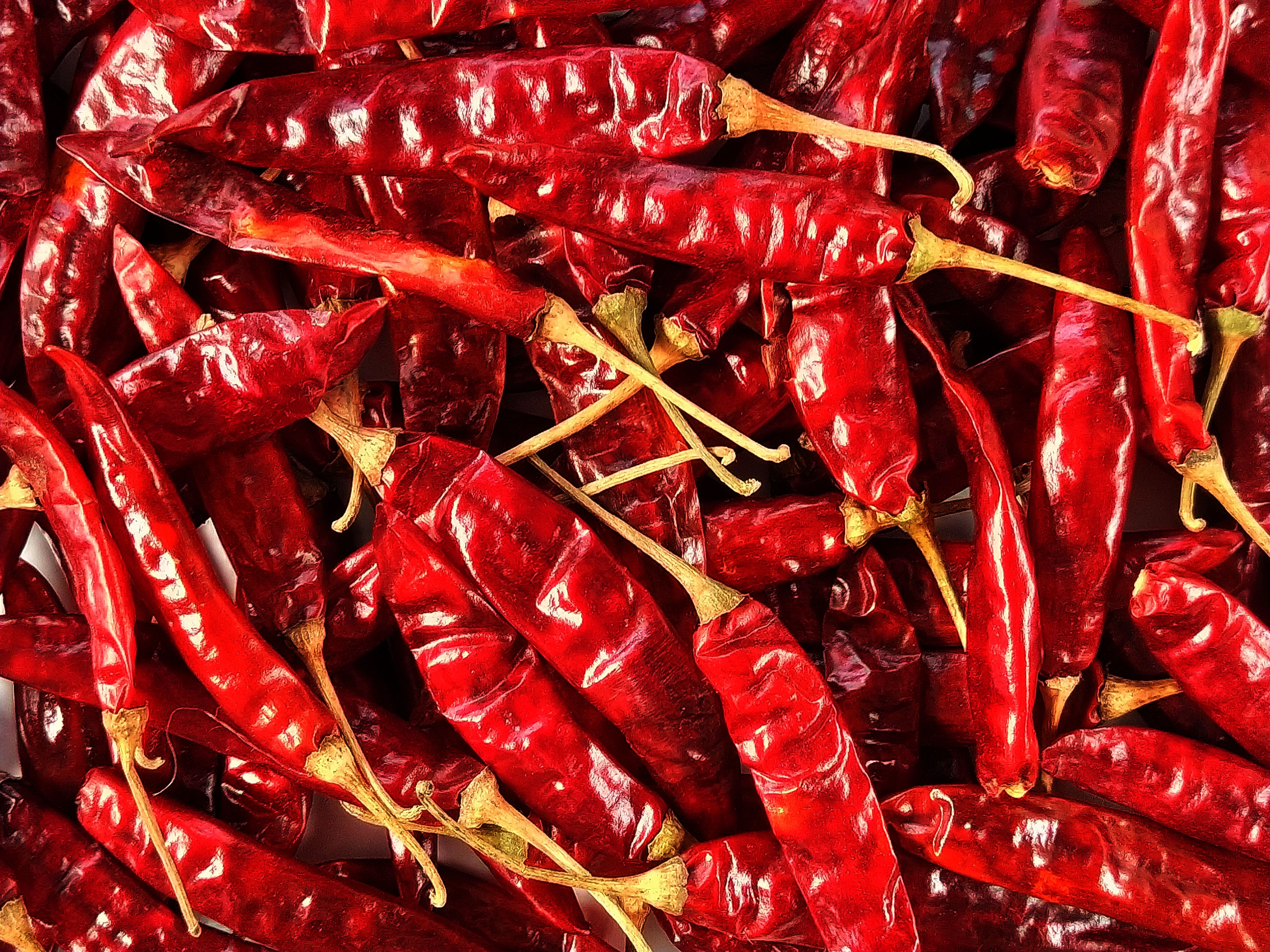 El calor extremo acecha a la capital del chile rojo de Pakistán
