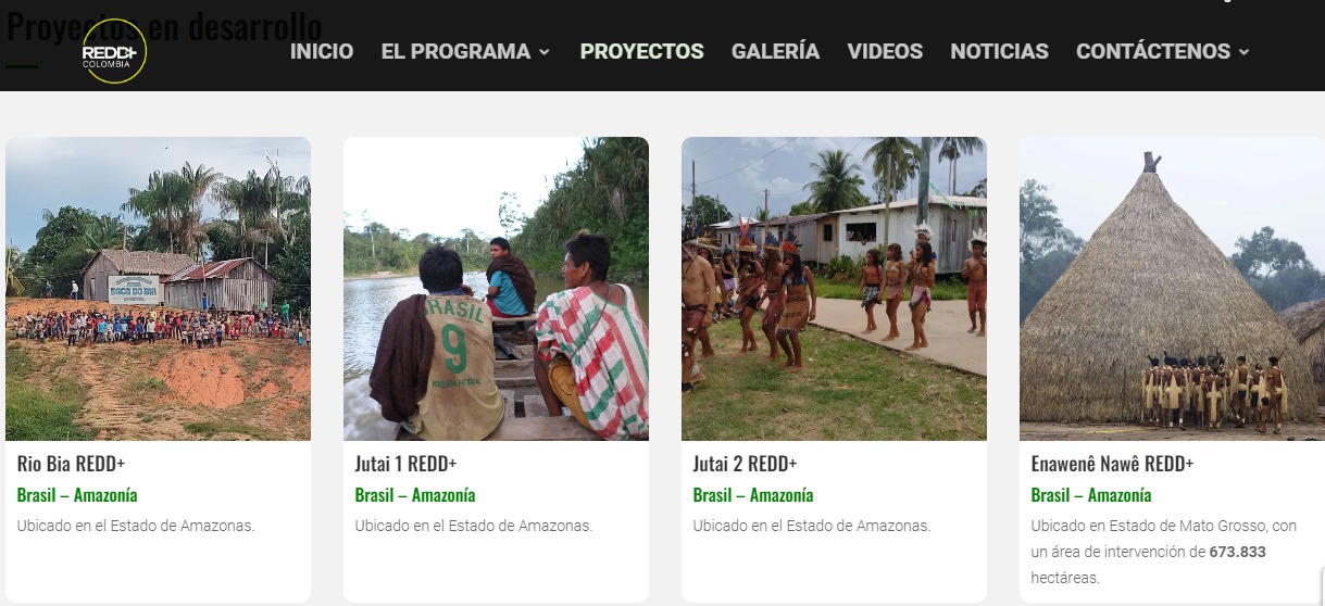 Proyectos de carbono en tierras indígenas de Brasil. Reproducción/Community Redd+.