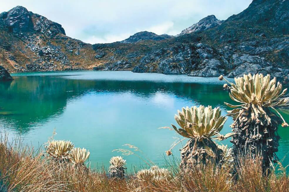 Bavaria invertirá $2.500 millones en la protección del Páramo de Santurbán