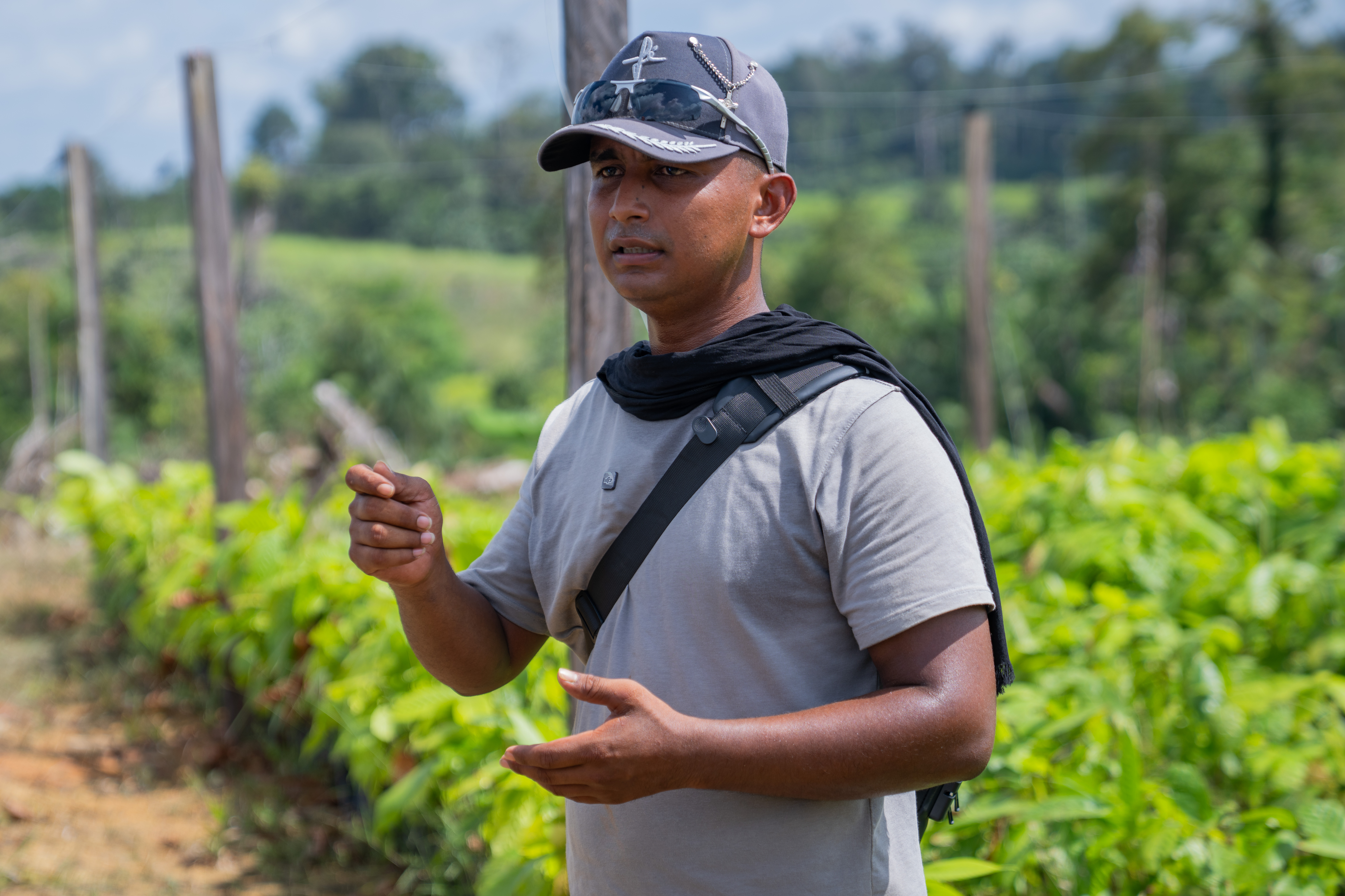 Un disidente de la CNEB frente a un cultivo de cacao donde antes había coca.