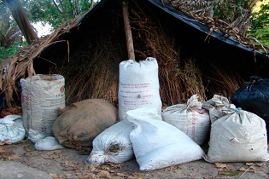 Autoridades se incautan de 1.250 kilos de marihuana en Magdalena