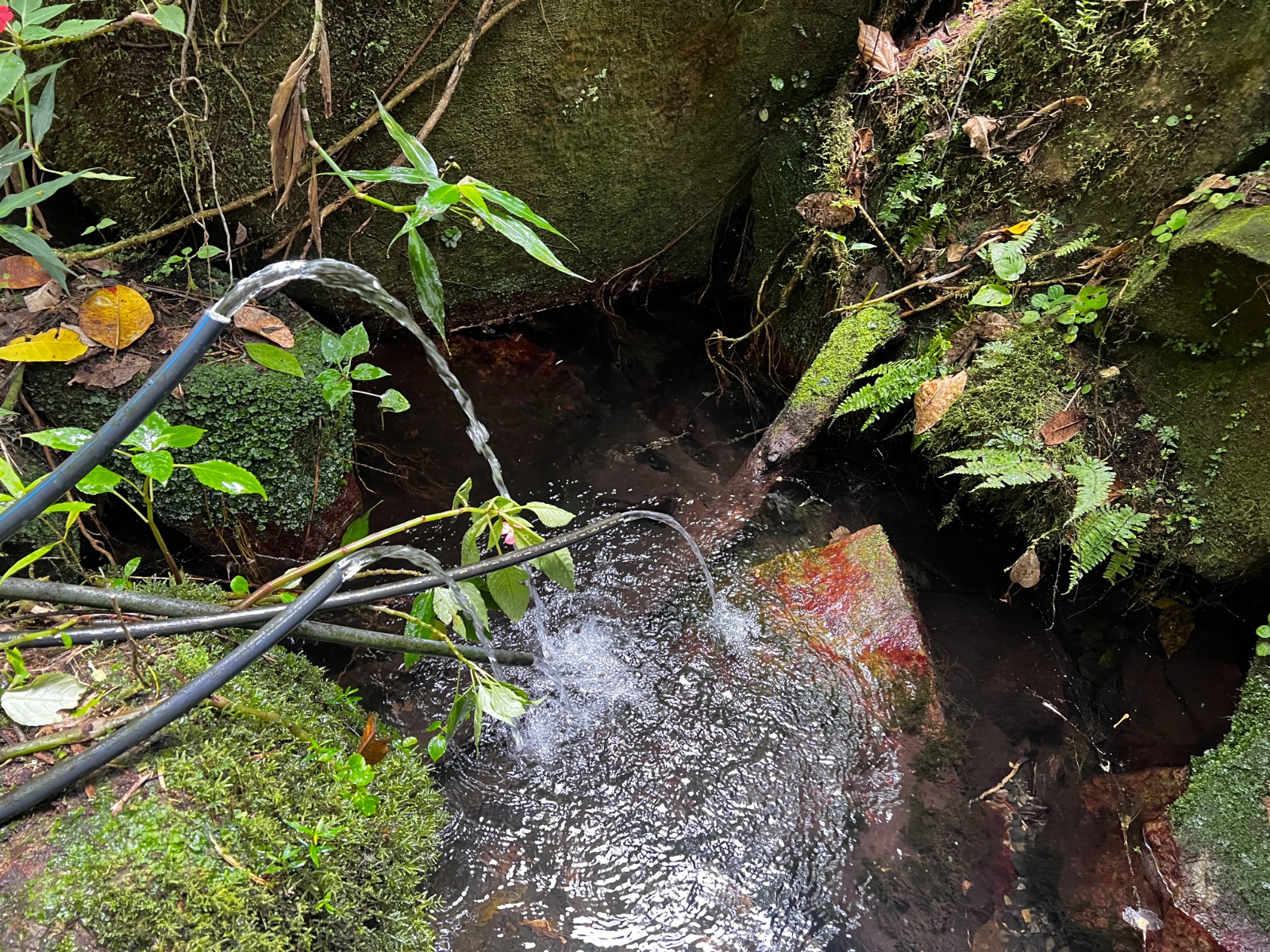 Autoridades hallan captaciones ilegales de agua en el río Bogotá