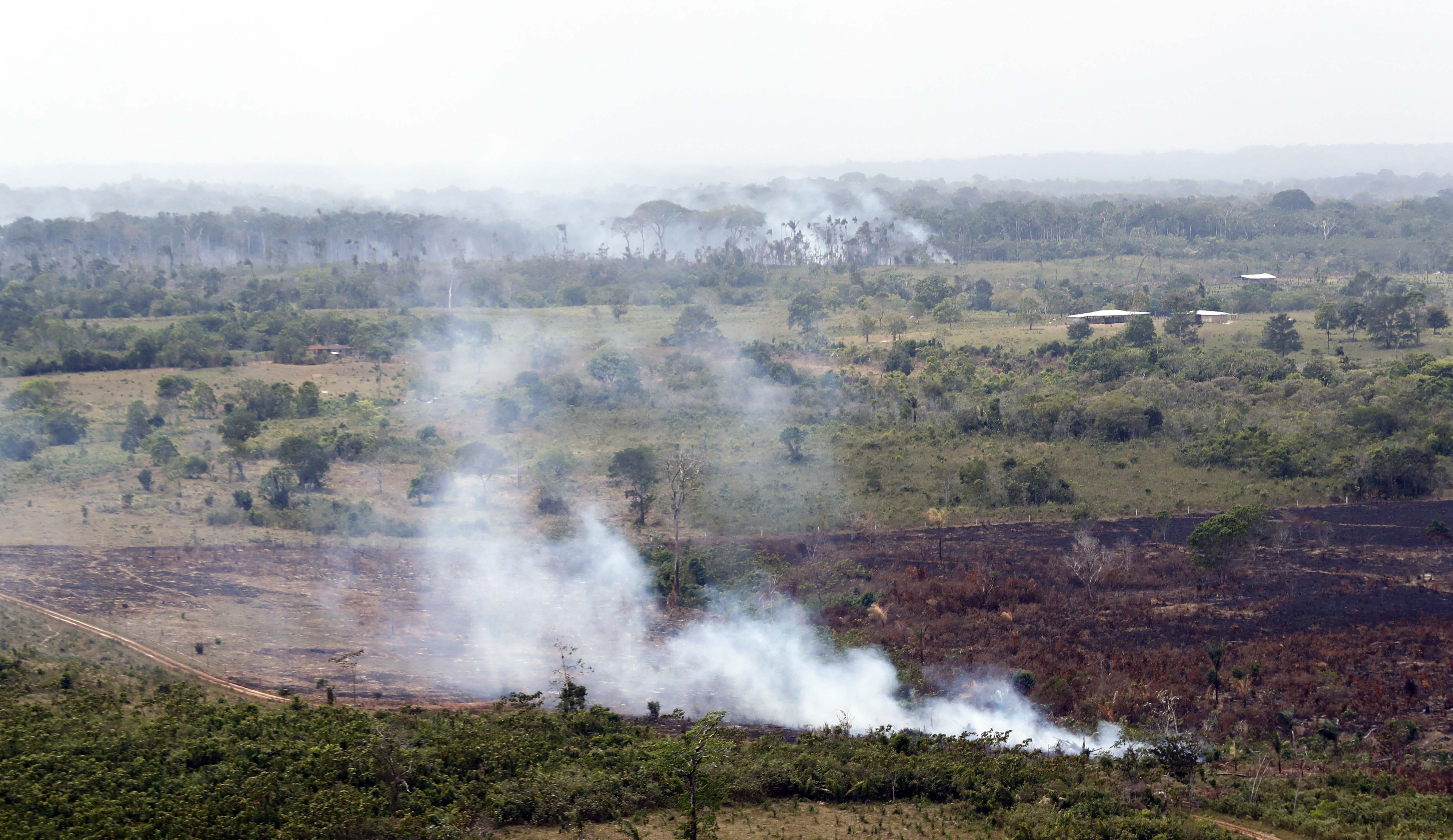 Gobierno Petro invirtió COP 3 billones en un proyecto ambiental que no se puede evaluar
