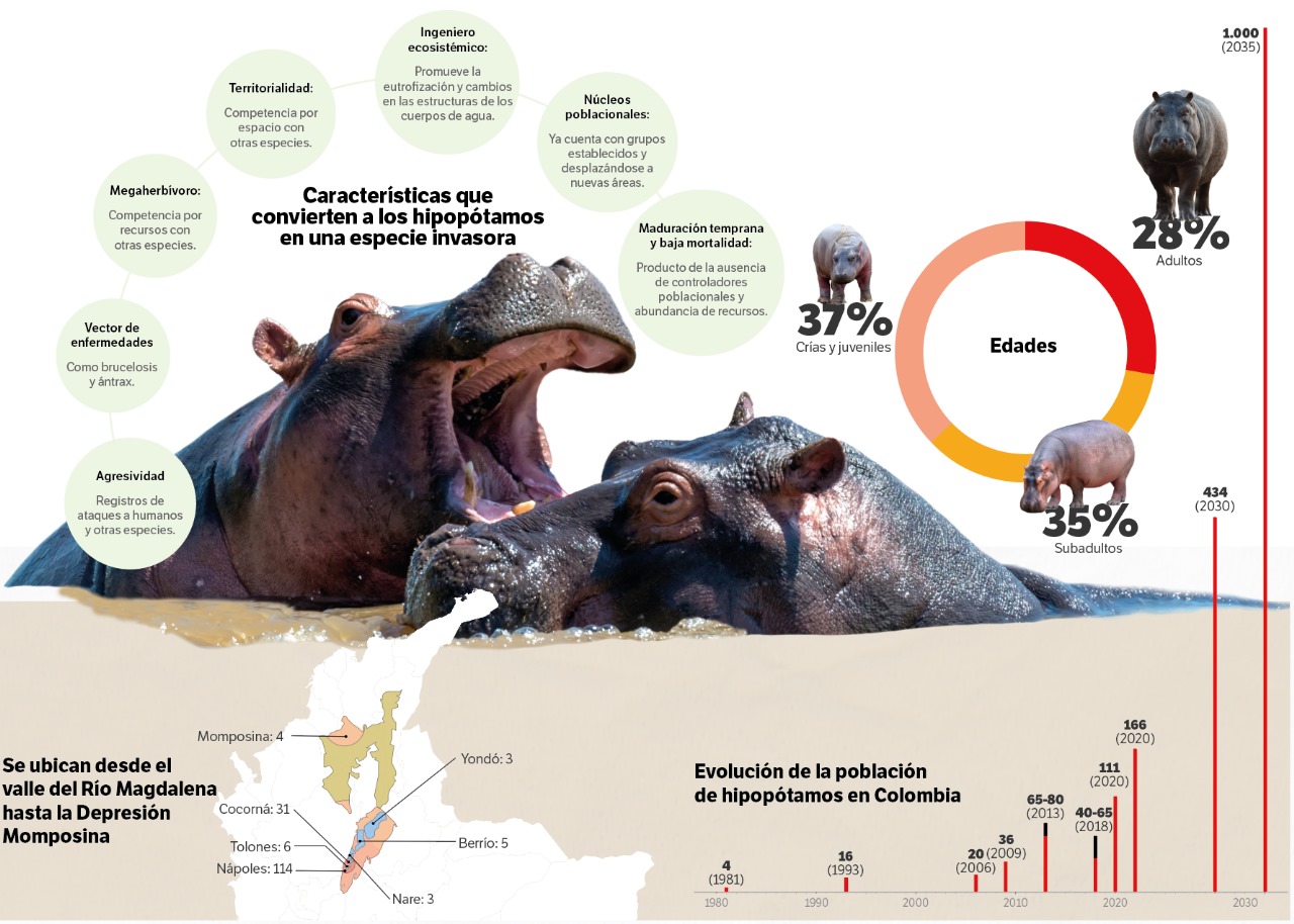 Características que hace a los hipopótamos una especie invasiva.