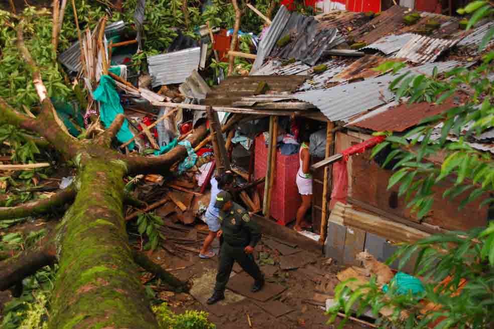 Dos niños mueren por caída de un árbol
