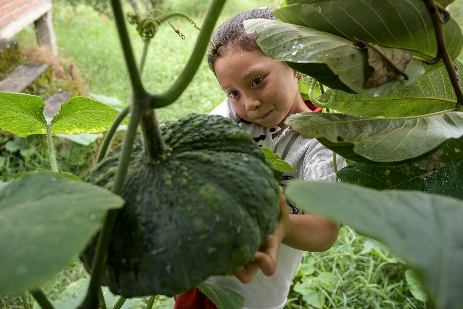 La educación escolar a través de la naturaleza y la literatura