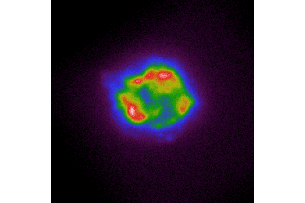 Esta imagen de IXPE mapea la intensidad de los rayos X que provienen de la supernova Cassiopeia A. Los colores que van desde el púrpura y el azul fríos hasta el rojo y el blanco cálido se corresponden con el aumento del brillo de los rayos X. La imagen fue creada con datos tomados por el Observatorio entre el 11 y el 18 de enero.