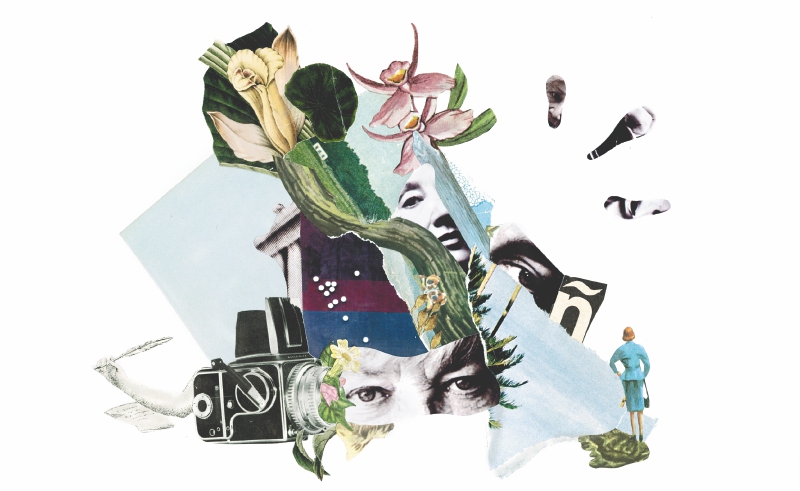 / Ilustración: Tania Bernal