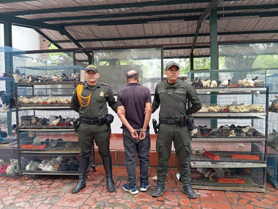 Rescatan a más de 400 animales en pésimas condiciones de salud en Cúcuta (video)