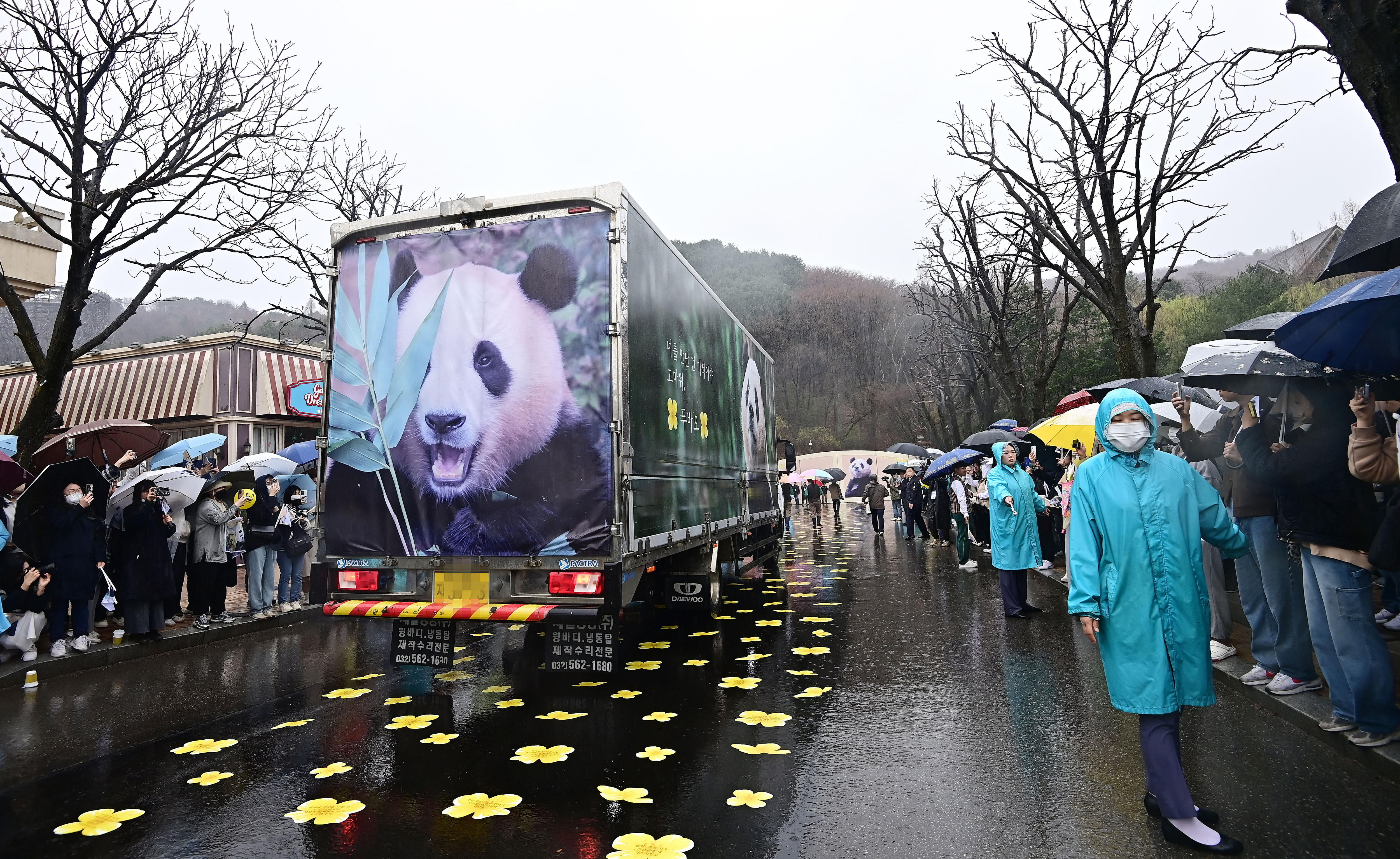 Esta despedida de un panda le está dando la vuelta al mundo, ¿por qué?
