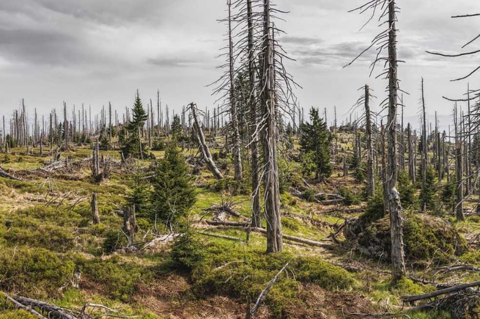 La economía le falló a la naturaleza y se volvió en un riesgo extremo para el mundo