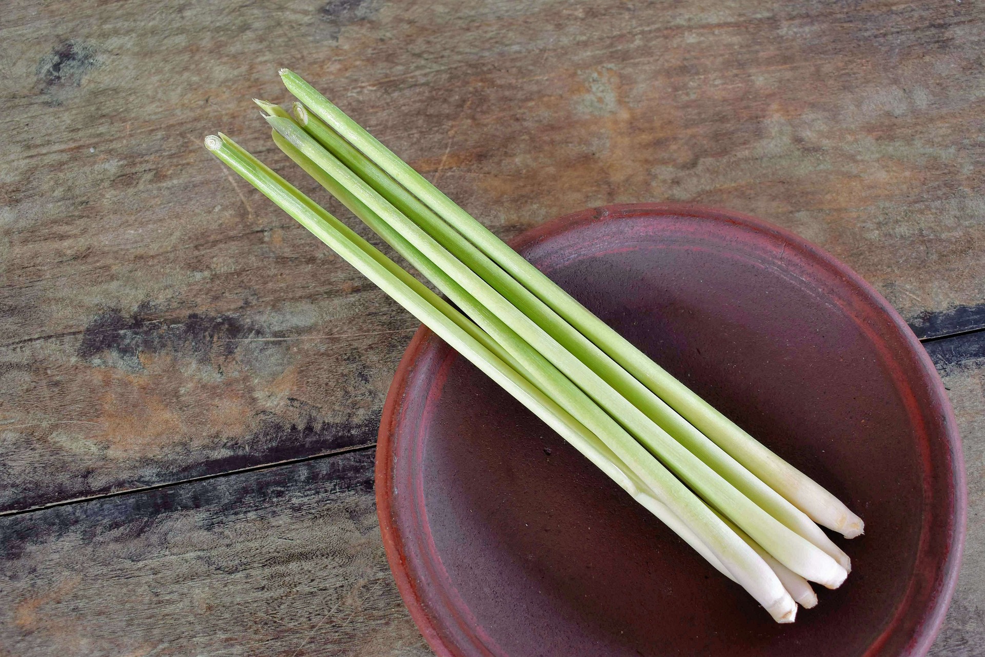 Limonaria: aromática, sabrosa y medicinal