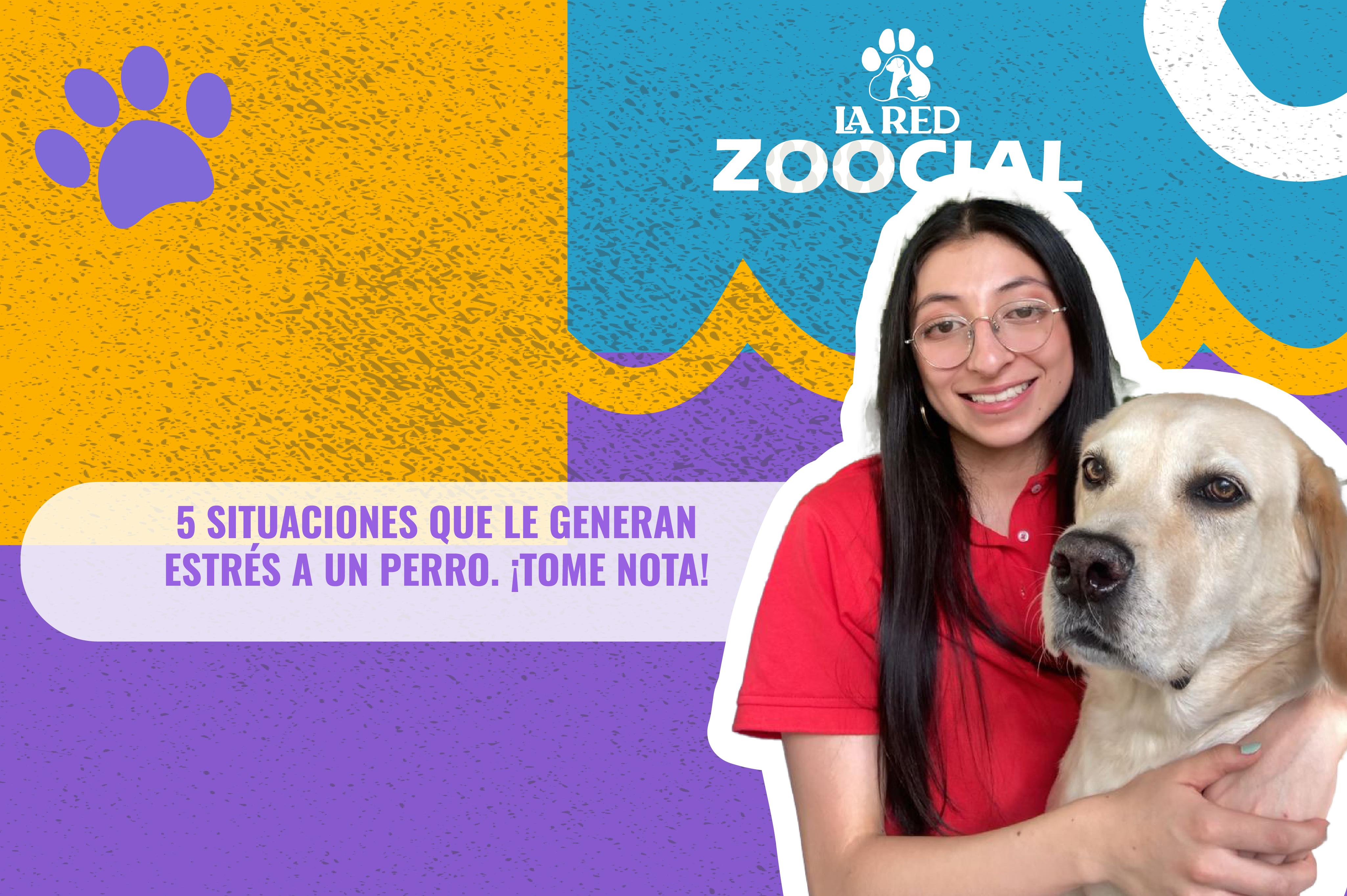 (VIDEO) Cinco situaciones que le generan estrés a un perro ¡Tome nota!