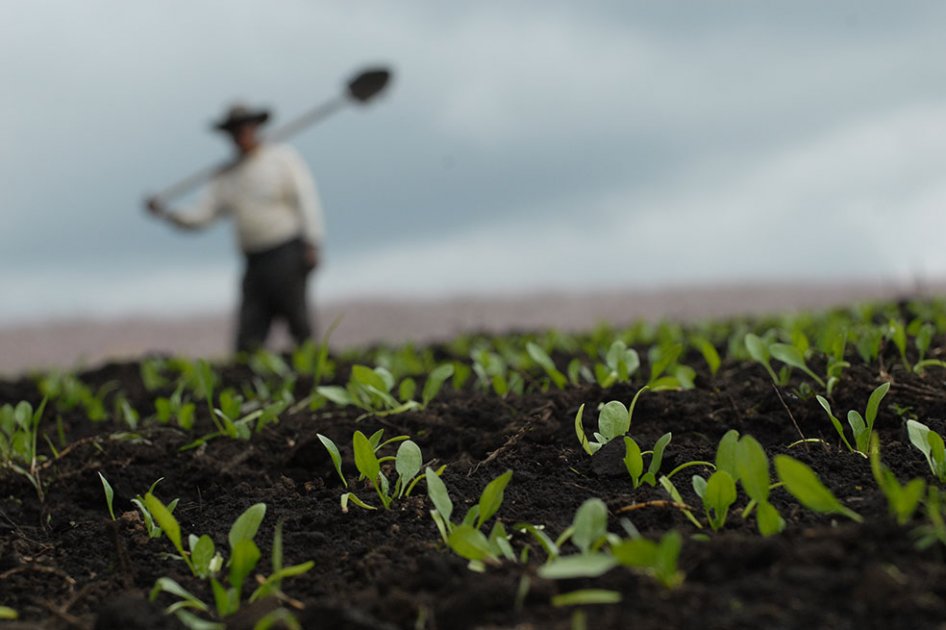 Promotoras de la Especialidad Agraria dan por hundido el proyecto por falta de agendamiento