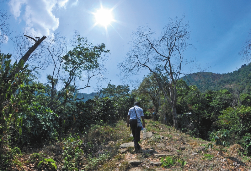 “Vamos a insistir”: radican nuevamente proyecto de especialidad agraria