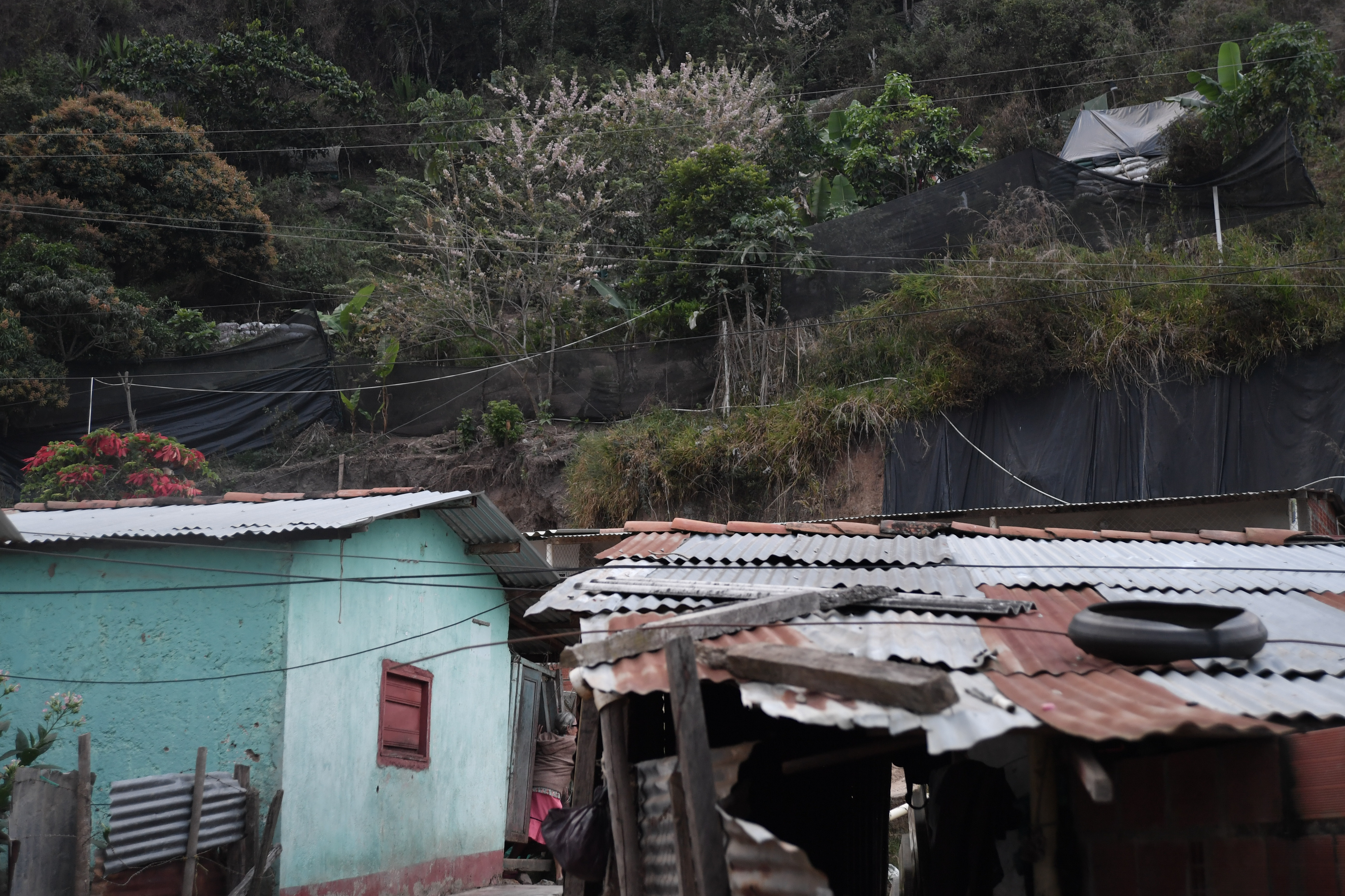 Así eran los tres campamentos que usó las Farc para el secuestro