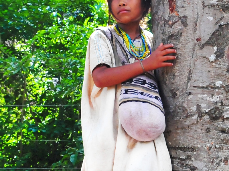 La niña kankuama de 12 años está ahora bajo la tutela del ICBF / Imágen de referencia - Nelson Sierra G.
