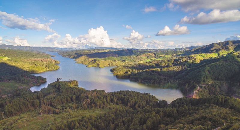 Cinco ideas para proteger la biodiversidad