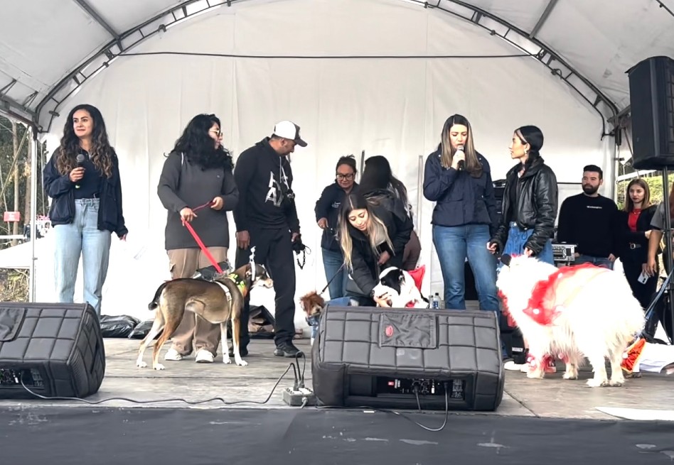 Feria Canina Parque de la Sal cumplió su objetivo: ayudar a refugios de animales