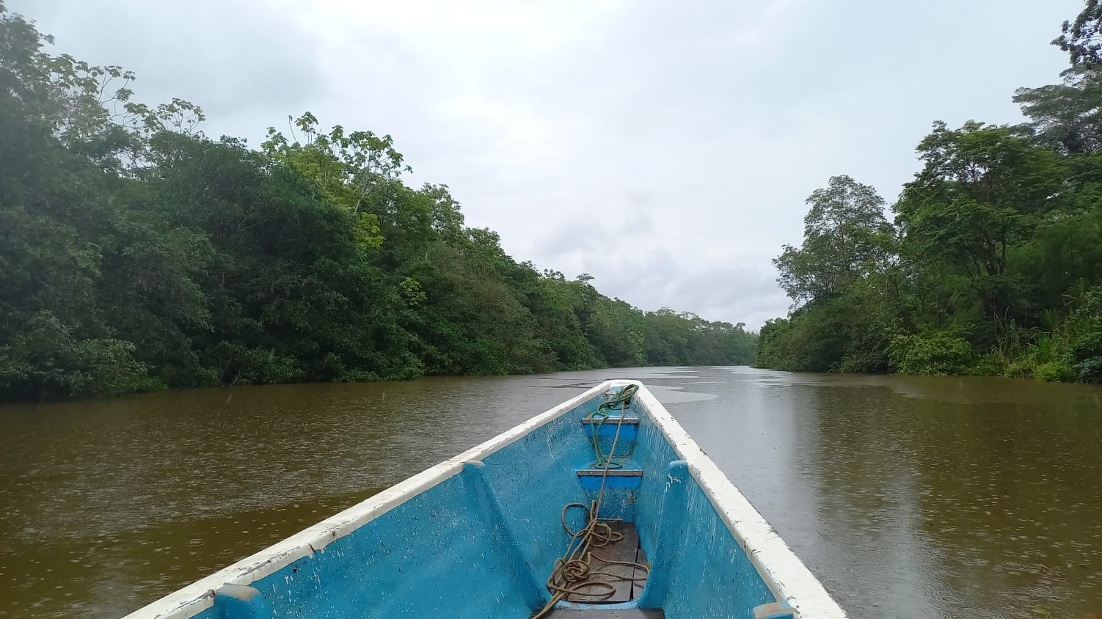 Cuatro países quieren unirse para cuidar el río Putumayo