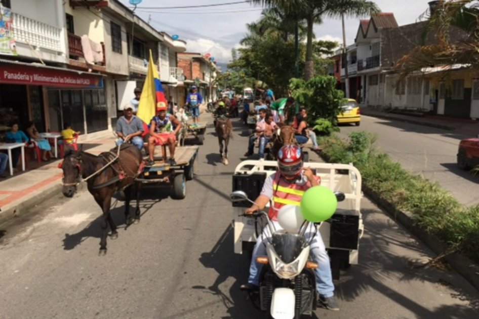 No se podrá circular por la ciudad en vehículos de tracción animal / Foto: Alcaldía de Villavicencio.