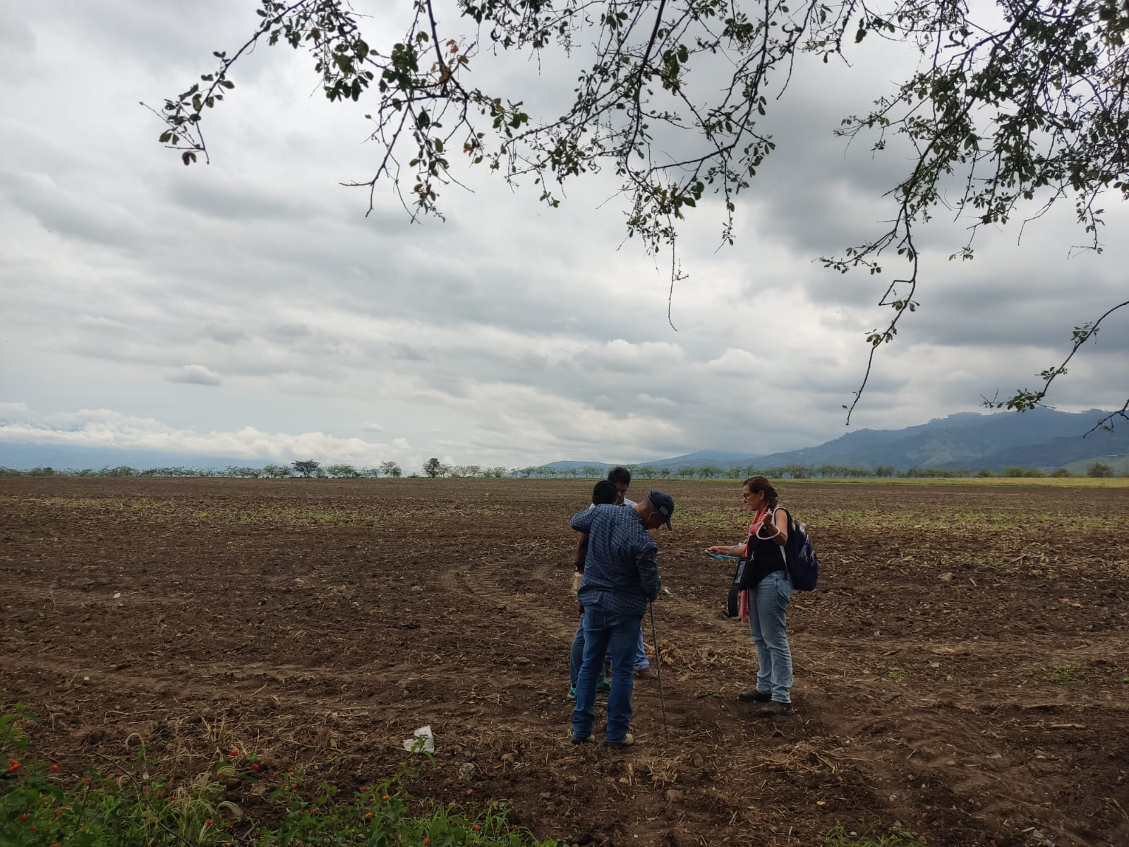 Un grupo de investigadores toma medidas de hidrógeno en campo durante su estudio en el Valle del Cauca.