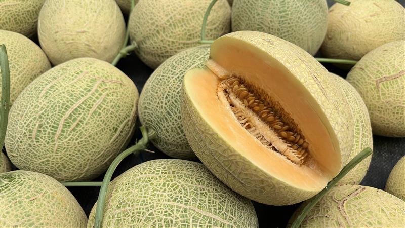 Para qué sirve la cáscara de melón en las plantas y cómo usarla