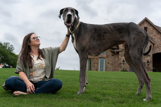 ¿Cuánto mide el perro más alto del mundo?